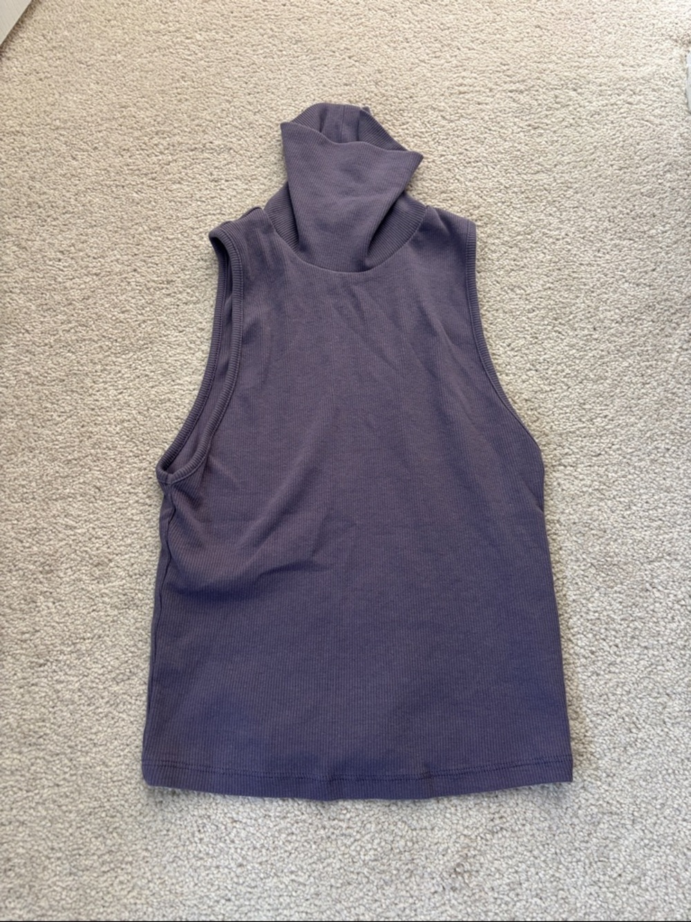 Zara Sleeveless Turtleneck Tank in Plum